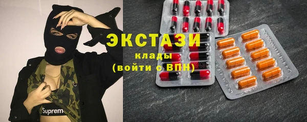 ECSTASY Богданович